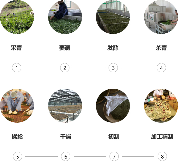 茶叶加工厂房服务流程